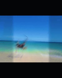 开云体育在线-半决赛停赛缺席！王霜晒视频，在海滩面对皮球帅气腾空勾射