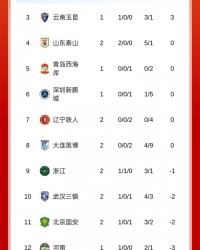 开云体育在线-积分榜：泰山积分归零升第四，浙江负1分第九，申花负6分仍第14