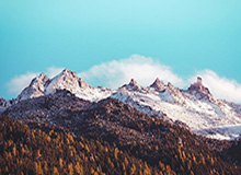 开云体育官网：用智能科技点亮你的体育激情